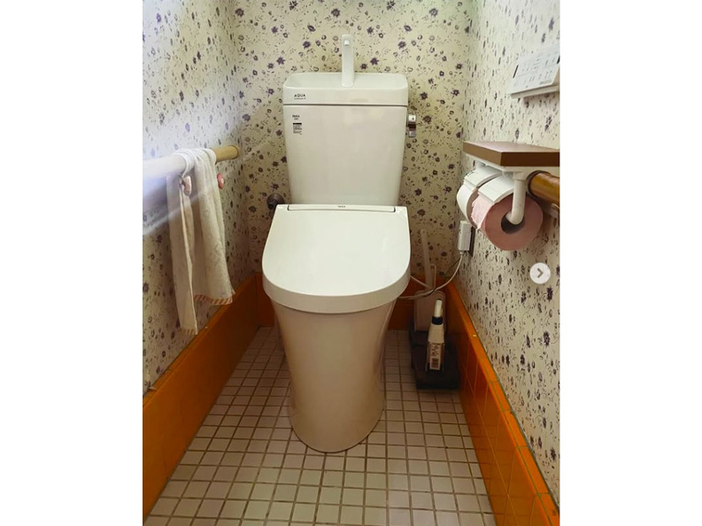 古いトイレを清潔で使いやすくしたい