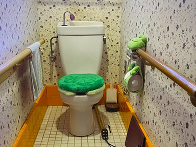 古いトイレを清潔で使いやすくしたい